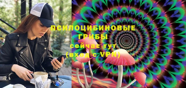 мескалин Гусев