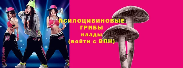дурь Гусиноозёрск
