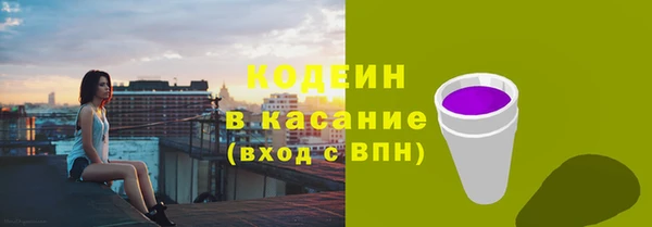 PSILOCYBIN Гусь-Хрустальный