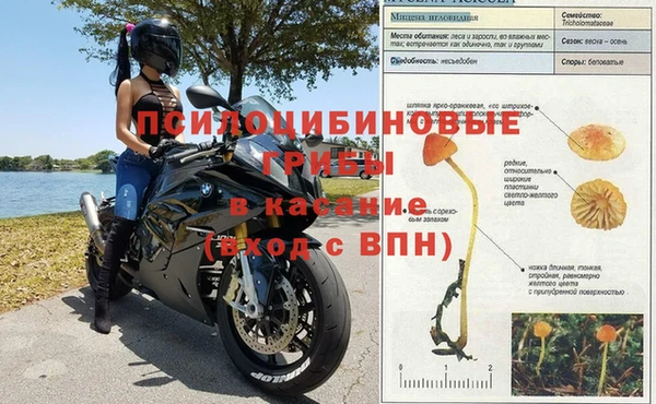 мескалин Гусев