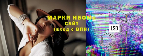 PSILOCYBIN Гусь-Хрустальный