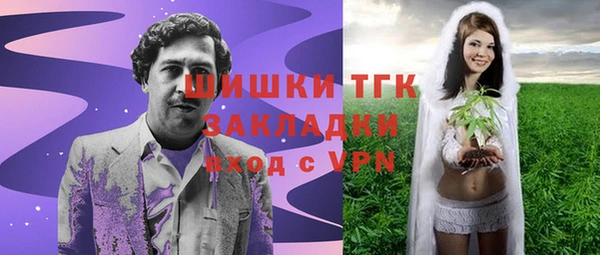 дурь Гусиноозёрск
