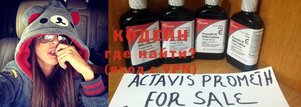 дурь Гусиноозёрск