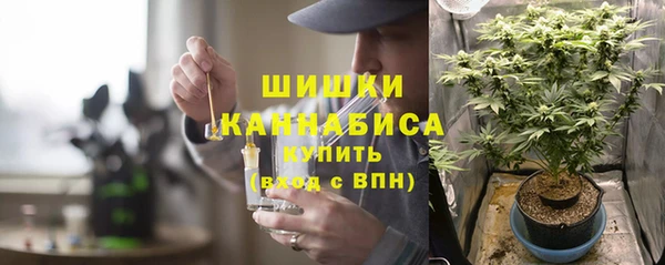 дурь Гусиноозёрск